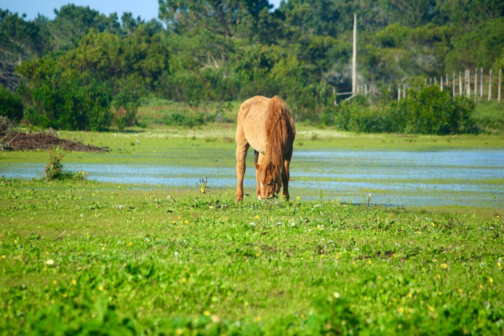 Herdade Monte Do Sol Aljezur Exteriér fotografie